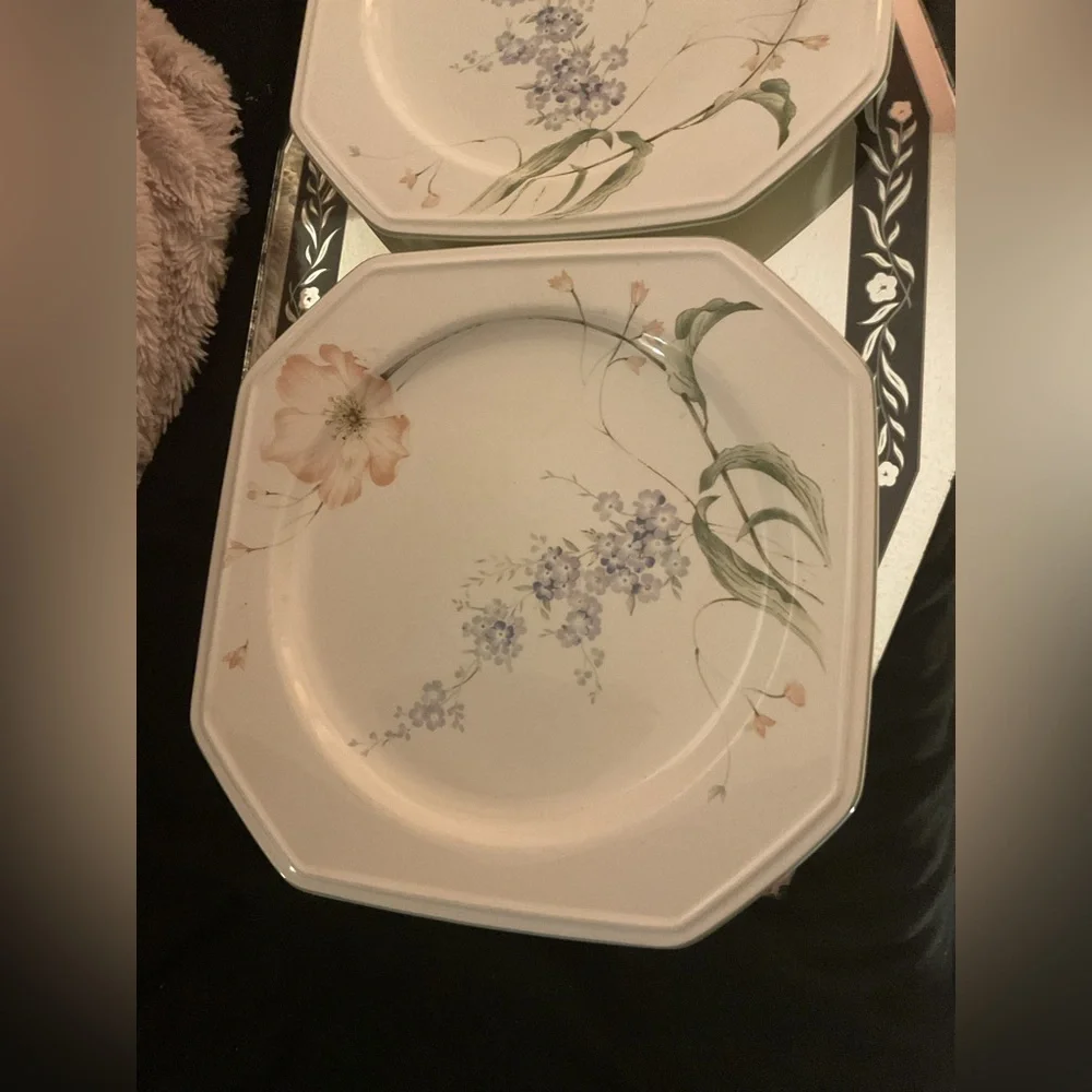 Set of 2 Mikasa Continental Amsterdam F3102 Dinner Plates 10-3/8”